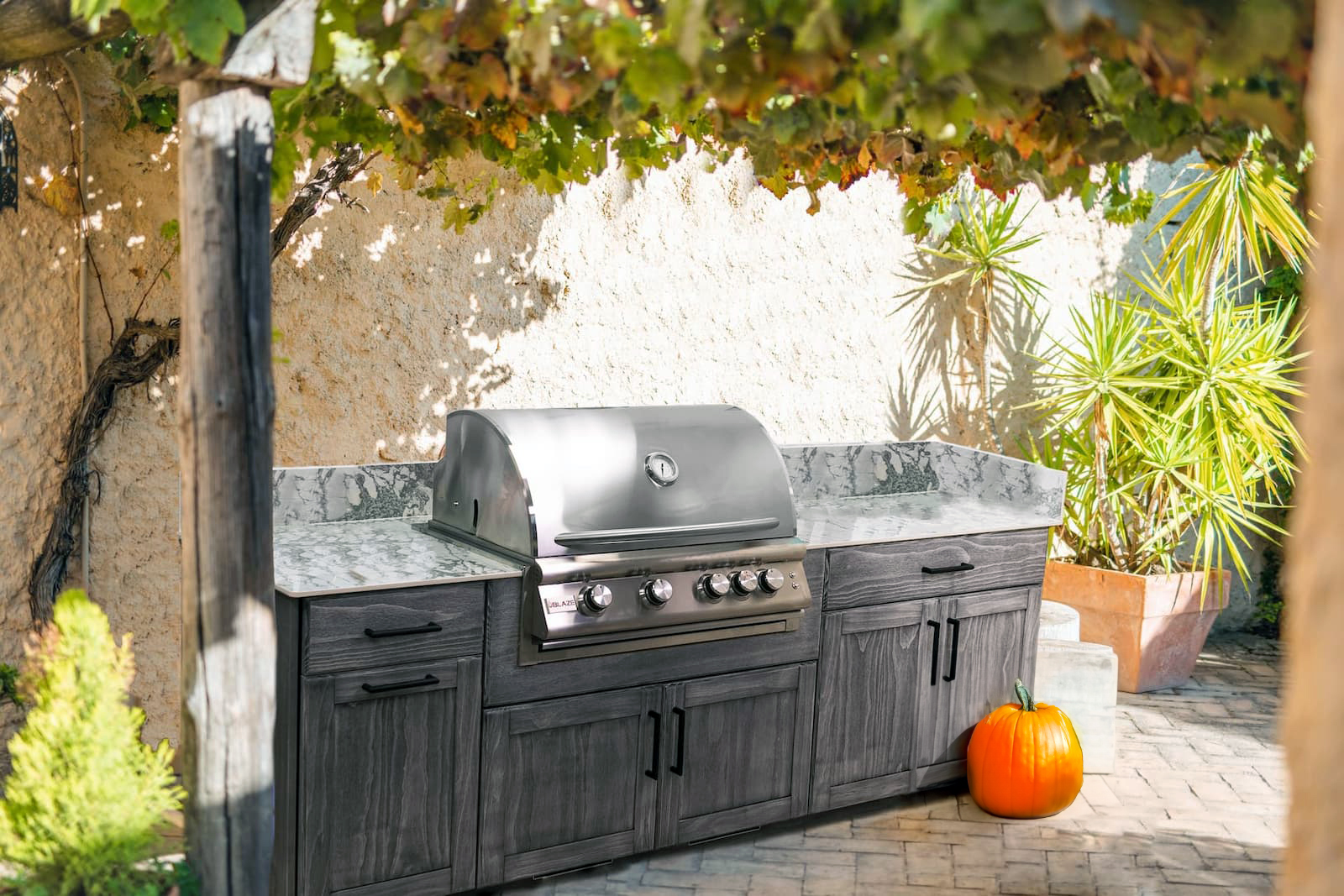 fall Seasonal Decor for Outdoor Cabinetry: Enhancing Your Outdoor Space autumn